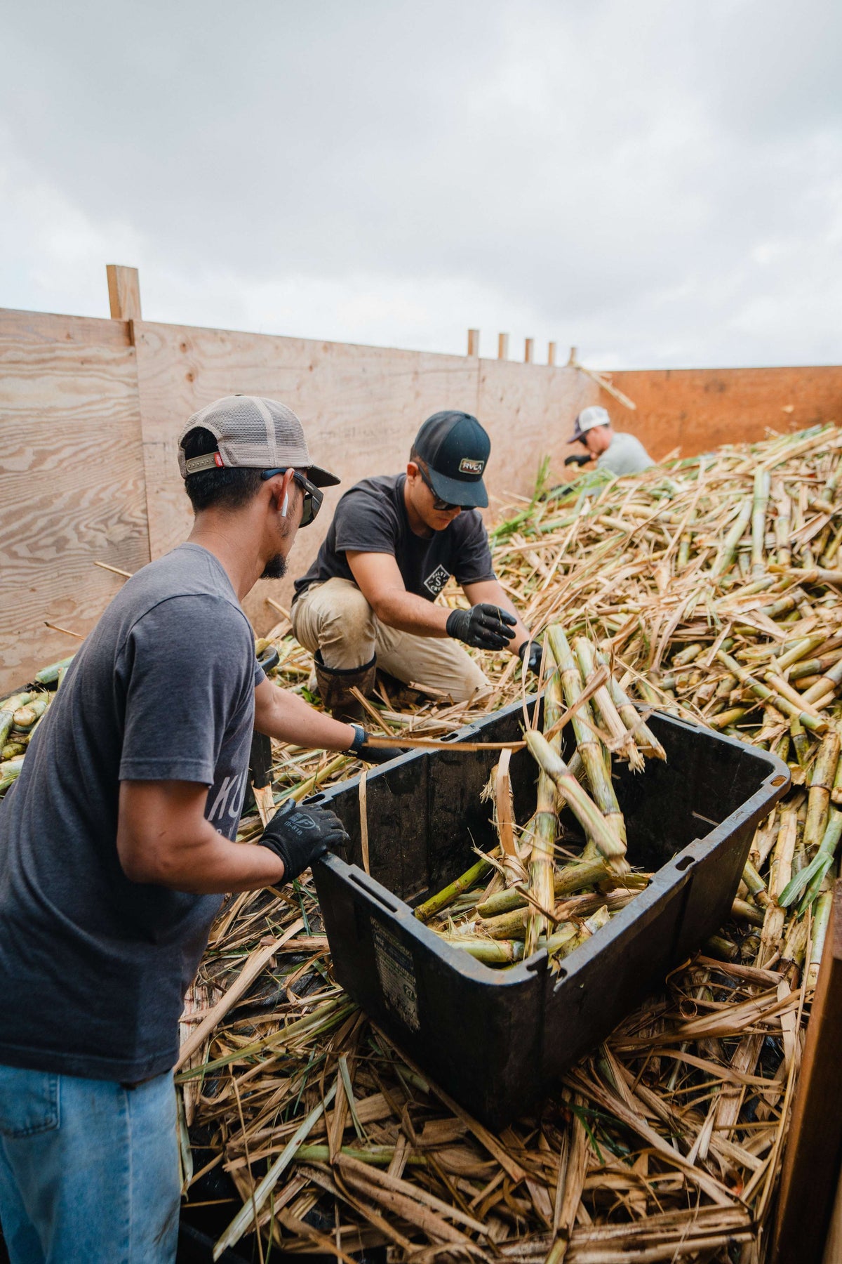 Kuleana Rum Works process image