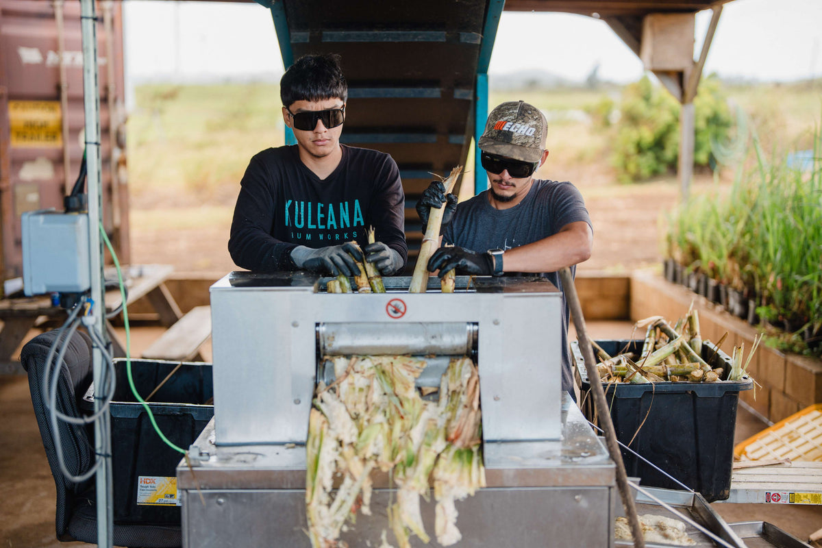 Kuleana Rum Works process image