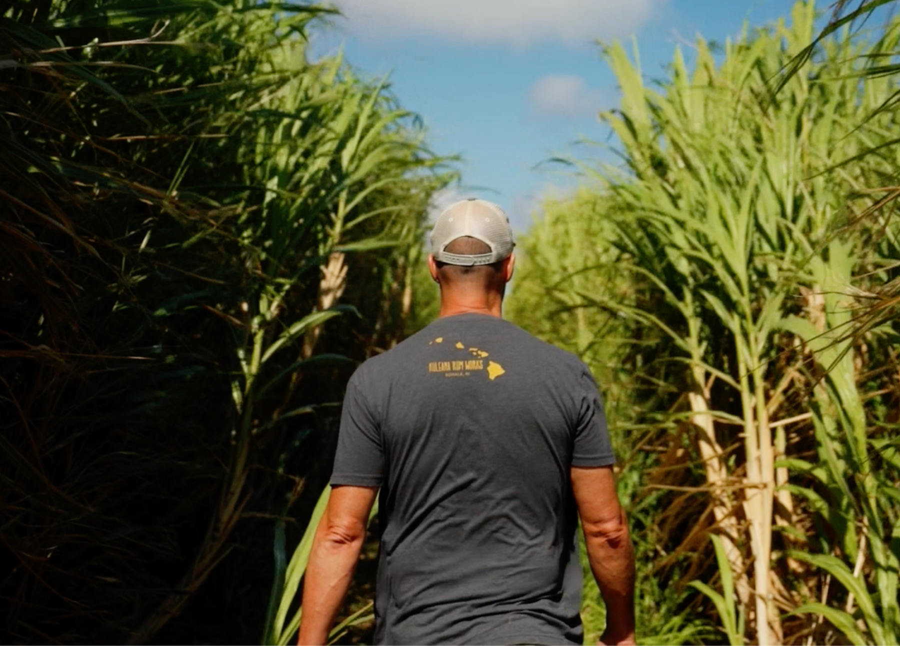 Kuleana Rum Works on the Kohala Coast